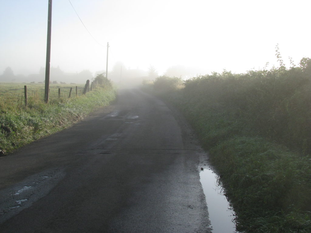 morning-mist02-1024x768.jpg